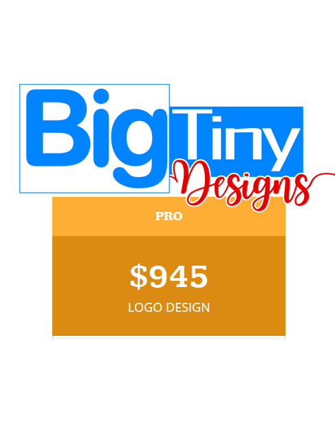 BigTinyDesigns PRO LOGO DESIGN PACKAGE